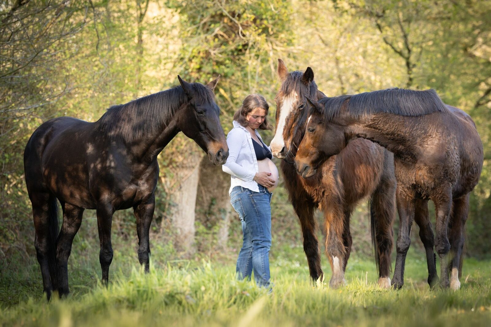 Jeune femme enceinte entourée de ses chevaux, côte d'armor